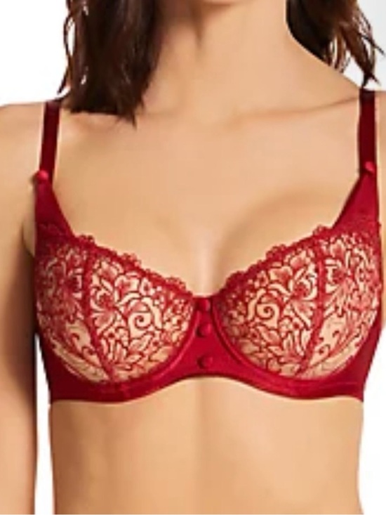 Karl Lagerfeld Other - Karl Lagerfeld bra 32c red lace x aubade half cup